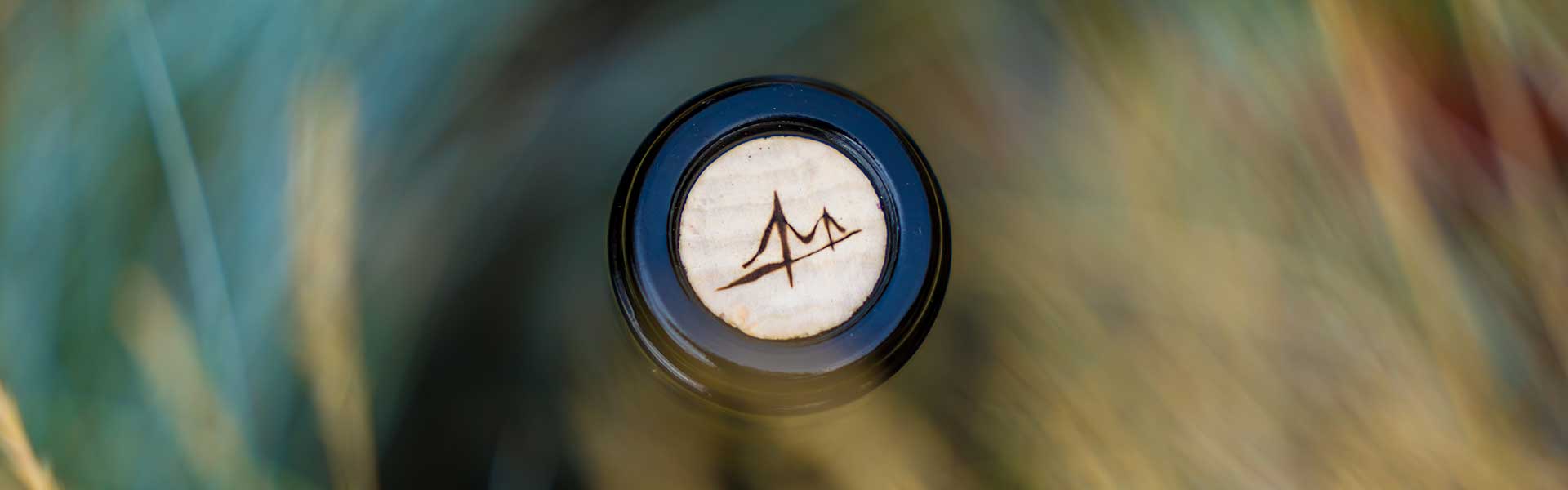 Four Bridges Wines vineyard